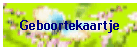 Geboortekaartje