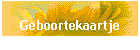 Geboortekaartje